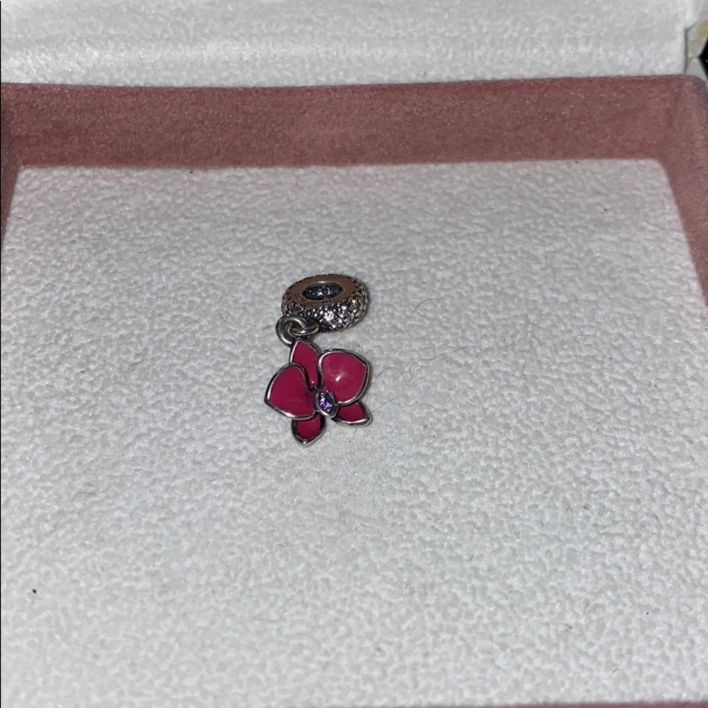Pandora charm